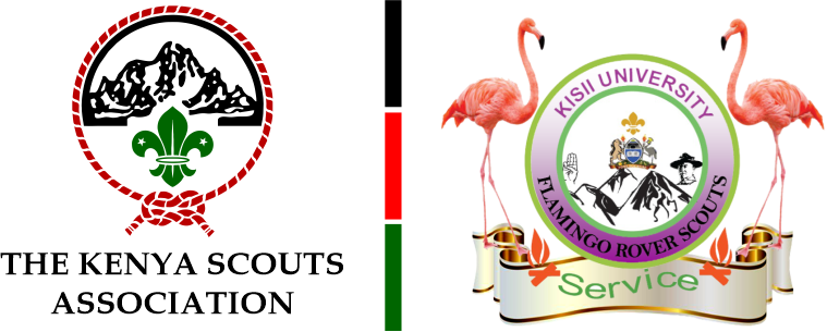 Scouts Logo